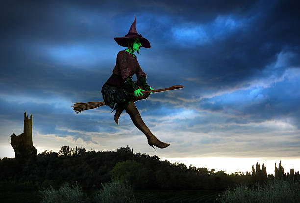 1,115 Witch Flying Into Tree Stock Photos, Pictures & Royalty-Free Images -  iStock