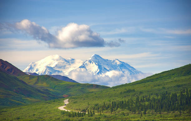 With its huge mountains and surrounded by a wonderful biodiversity lies the Denali National Park and Preserve. Touristic route and cloud sky. Landscape, fine art. Parks Hwy, Alaska, EUA: July 28, 2018 stock photo