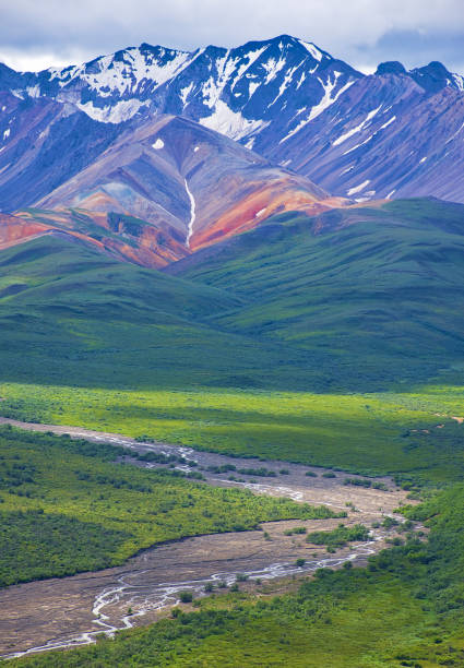 With its huge mountains and surrounded by a wonderful biodiversity lies the Denali National Park and Preserve. River, trees and cloud sky. Landscape, fine art. Parks Hwy, Alaska, EUA: July 28, 2018 stock photo