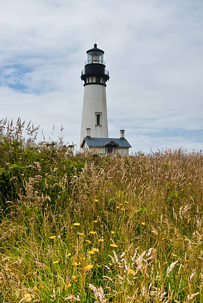 Yaquina Head Lighthouse With the advent of radar, GPS and other advanced navigation tools, lighthouses no longer need to perform the same function they once did; guiding ships to safety. Instead they have been preserved as historic monuments; reminding us of a time when shipping and sailing were more perilous activities. The Yaquina Head Lighthouse is located north of Newport, Oregon, USA. jeff goulden oregon coast stock pictures, royalty-free photos & images