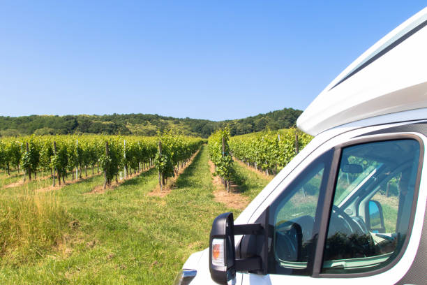 With the camper through the Alsace Wine Route Camper van driving on road among vineyards on Alsatian Wine Route near Riquewihr village, France. riquewihr stock pictures, royalty-free photos & images