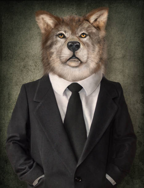 Wolf in a suit. Man with a head of lion. Concept graphic in vintage style. stock photo