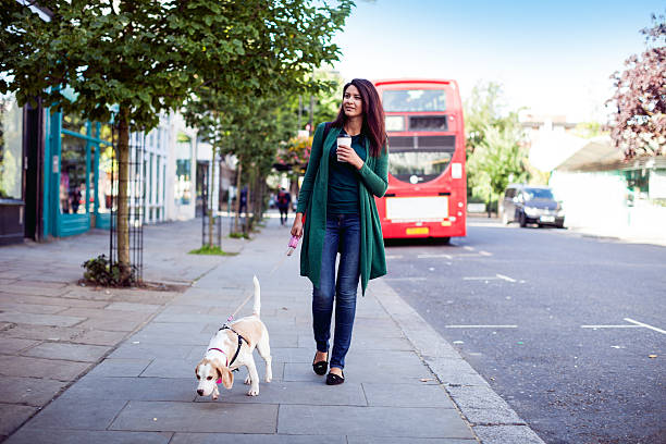 Woman and her own dog in early Sunday morning Dog and owner in early Sunday morning in London, Notting Hill. early morning dog walk stock pictures, royalty-free photos & images