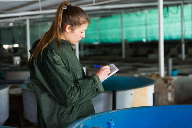Woman at trout breeding incubator Portrait of woman fish farm worker at trout breeding incubator fish hatchery stock pictures, royalty-free photos & images