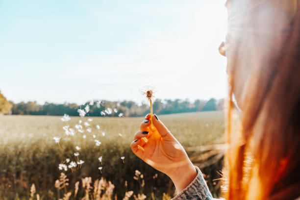 Woman blowing a dandelion flower in summer Young woman blowing a dandelion flower outdoors on summer field. Shot from behind against summer field and sun. Youth Culture Summer Outdoor Lifestyle Portrait. day dreaming stock pictures, royalty-free photos & images