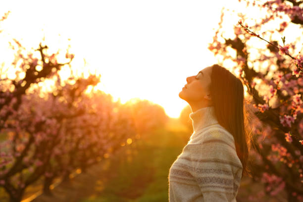 Woman breathing at sunrise in a field stock photo