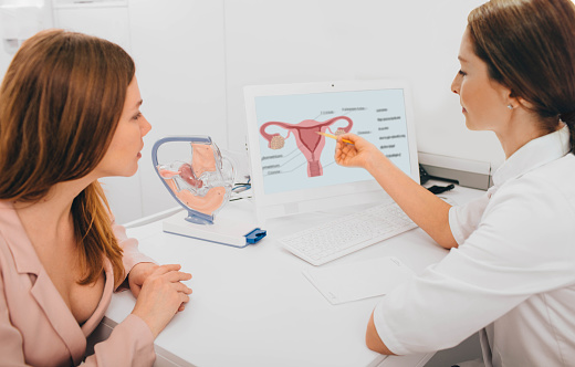 A doctor pointing to a digram of the female reproductive system. Another person is looking at the diagram.