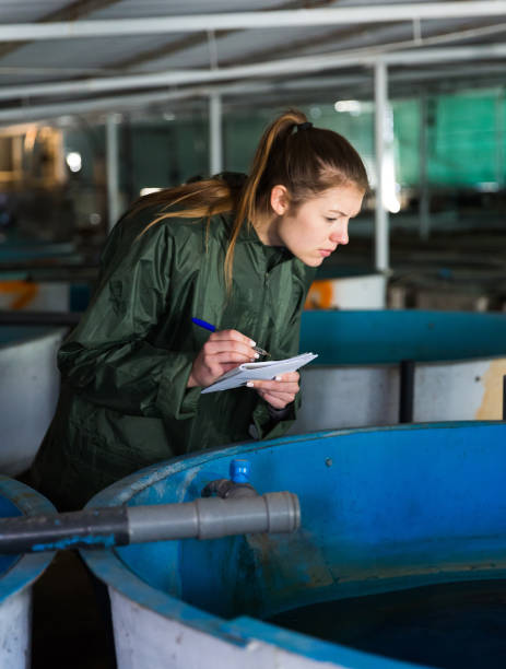 Woman controlling fish growth Woman in working clothes controlling fish growth in trout hatchery incubator fish hatchery stock pictures, royalty-free photos & images