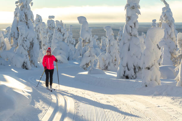 Woman cross country skiing in Lapland Finland Woman cross country skiing in Lapland Finland finnish lapland stock pictures, royalty-free photos & images