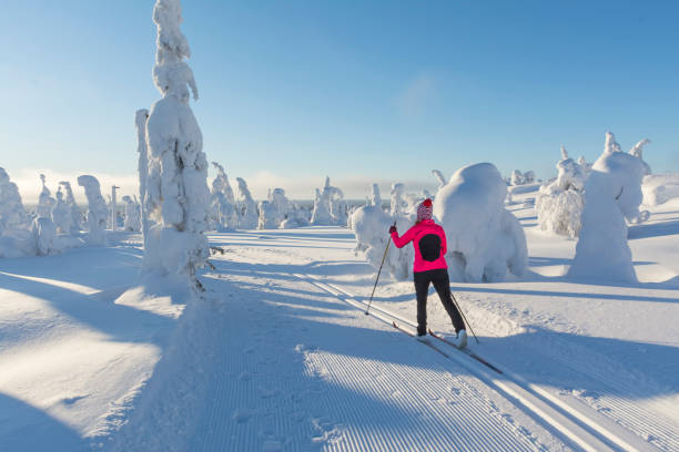 Woman cross country skiing Woman cross country skiing in Lapland Finland finnish lapland stock pictures, royalty-free photos & images