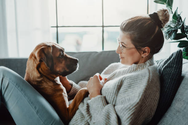 woman cuddles, plays with her dog at home - cão imagens e fotografias de stock