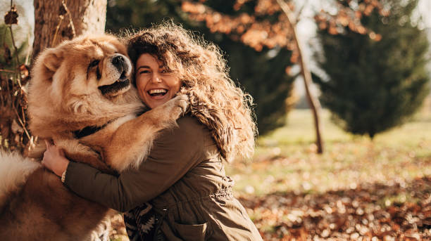 Woman cuddling with her chow dog in autumn park stock photo