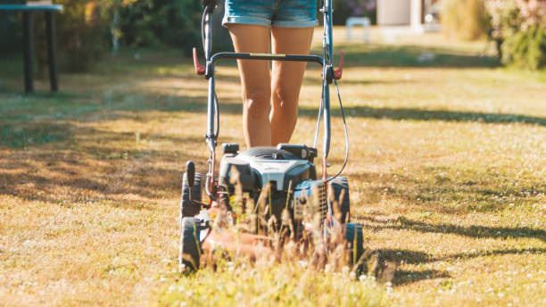 Woman cutting grass with lawnmower during a sunny day with dry weather stock photo