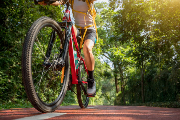 Woman cycling on bike path at park on sunny day stock photo