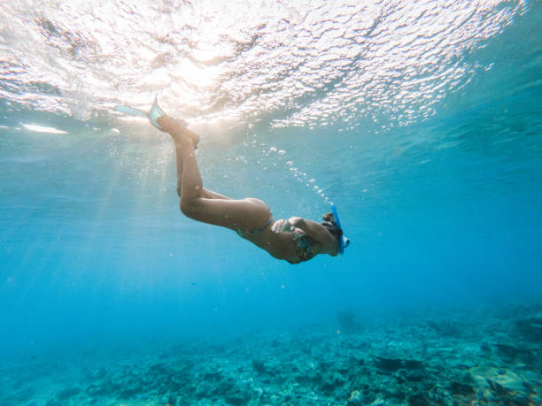 Woman dives in tropical sea, underwater shot She explores the reef around the atoll in the Maldives, people on vacations, she adventures underwater woman snorkeling stock pictures, royalty-free photos & images