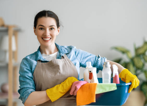 woman doing cleaning the house. Beautiful young woman doing cleaning the house. maid stock pictures, royalty-free photos & images