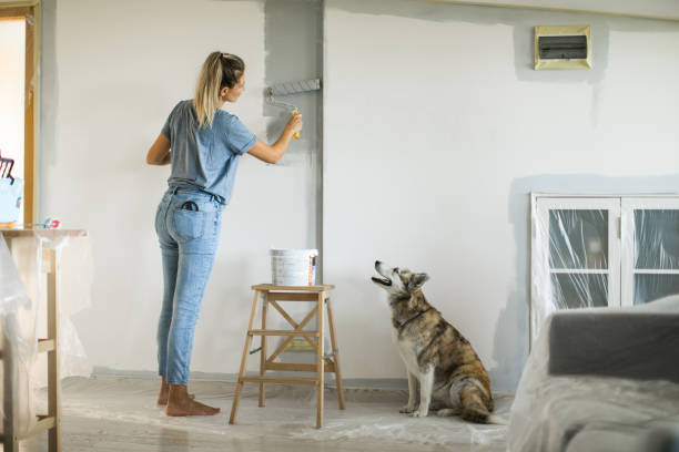 Woman doing diy project in apartment Woman painting with paint roller, she is dedicated and determined to finish her work right, dog is curious about what she doing home improvement photos stock pictures, royalty-free photos & images