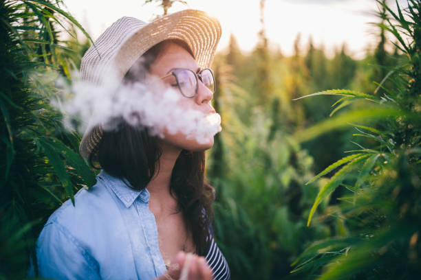 Woman Enjoying Outdoor. Beautiful woman feeling good in marijuana plantation, she smoking joint. cannabis narcotic stock pictures, royalty-free photos & images