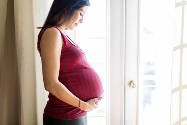 Woman Enjoying Pregnancy At Home Beautiful pregnant mother touching and looking at her pregnant belly at home pregnant stock pictures, royalty-free photos & images