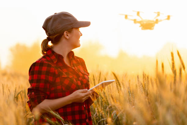 o fazendeiro da mulher controla o zangão - drone - fotografias e filmes do acervo