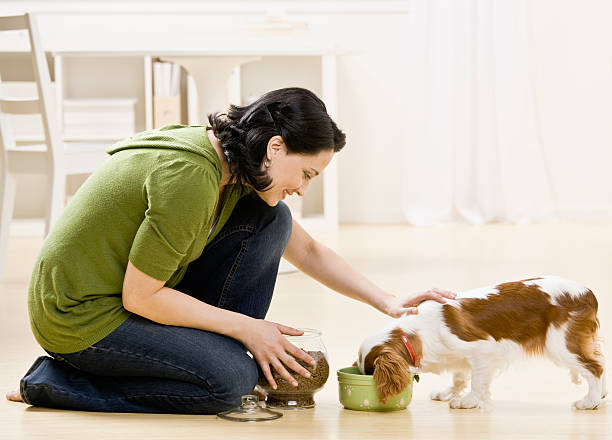 Woman Feeding Puppy stock photo