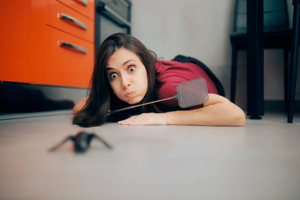 Woman Following a Big Insect on the Kitchen Floor stock photo