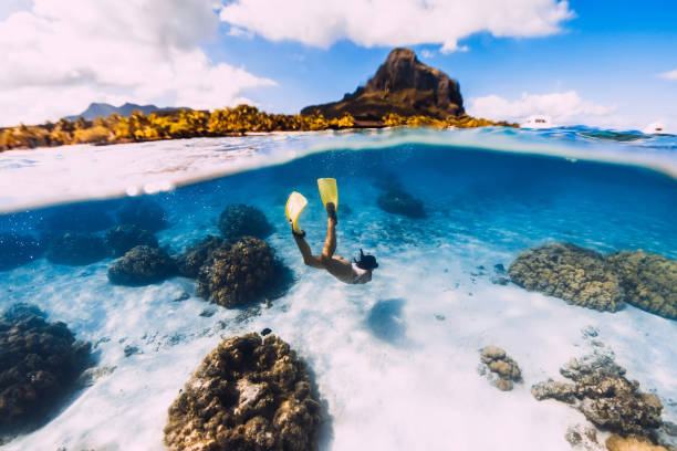 Woman freediver glides over sandy sea with yellow fins in transparent ocean. Freediving in Mauritius Woman freediver glides over sandy sea with yellow fins in transparent ocean. Freediving in Mauritius aqualung diving equipment photos stock pictures, royalty-free photos & images