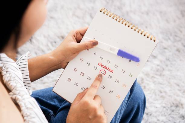 woman hand counting the date on calendar checking her menstrual cycle planning for ovulation day with pregnancy test stock photo