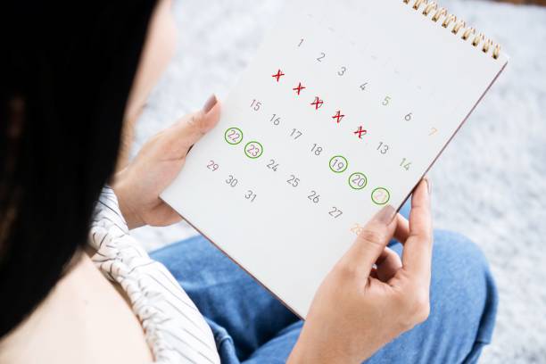 woman hand holding calendar counting the date and checking her menstrual cycle planning for ovulation stock photo