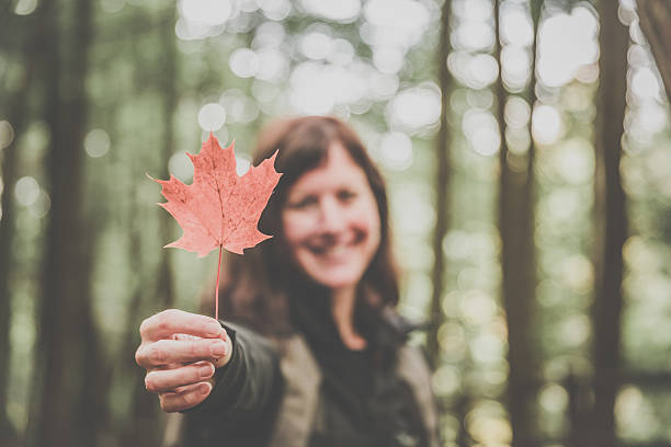 Photo of Woman Hand Holding Red Maple Leaf in Nature