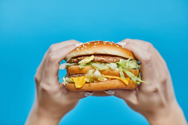 Woman hands holding a burger on a blue background stock photo