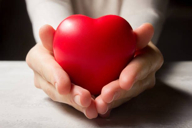Woman hands holding red heart, health care, love, organ donation, family insurance and CSR concept. World heart day, world health day, foster home care stock photo