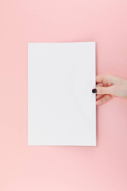 Woman hands with blank A4 paper sheet mockup stock photo