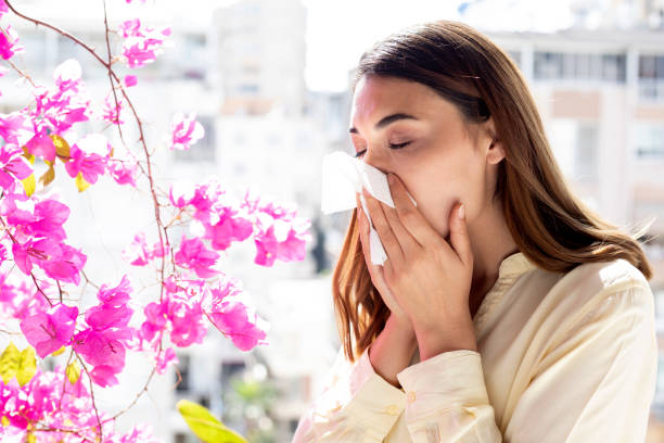 woman have pollen allergy sneezing woman have pollen allergy sneezing antihistamine stock pictures, royalty-free photos & images