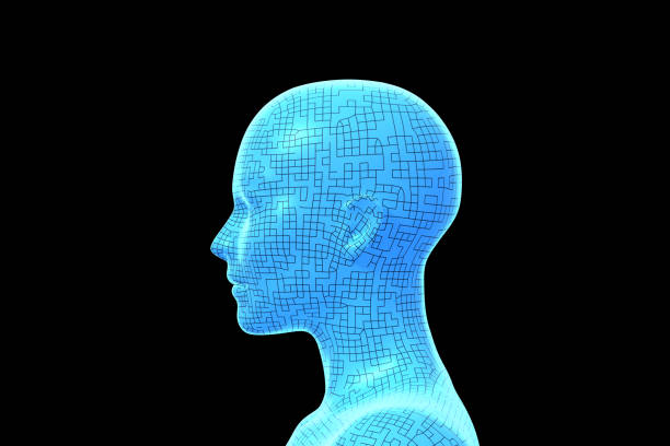 Woman, Head of Human Female, 3D stock photo
