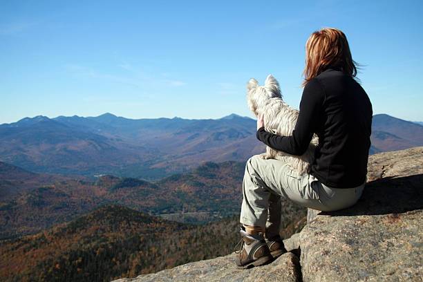 Woman Hiker and Dog Resting on Mountain Summit After Hiking DSLR photo of a woman hiker and westie dog resting on Cascade mountain summit (Adirondacks, New York state) after hiking. The woman is sitting on a rock on the top of a mountain and is in the foreground of the picture. She is holding her dog and both are contemplating the view of the mountains.  adirondack state park stock pictures, royalty-free photos & images