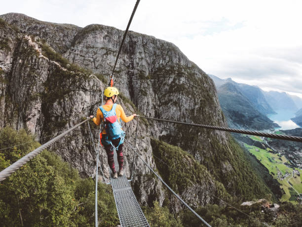景色を楽しむ女性ハイカー - ローン、ノルウェー - 登山　夏 ストックフォトと画像