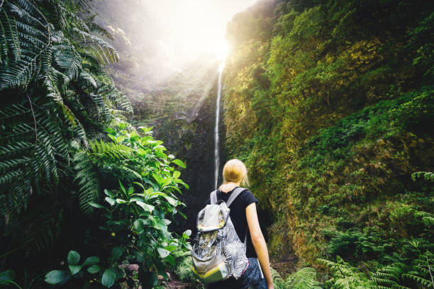 woman hiker watching the waterfall on madeira island - ilha da madeira imagens e fotografias de stock