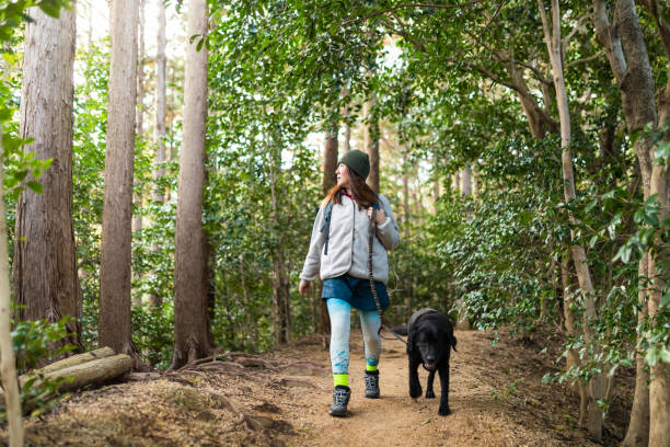 Woman hiking with her dog on a mountain forest path Japanese lady hiking with her black Labrador dog on a mountain forest trail. hike stock pictures, royalty-free photos & images