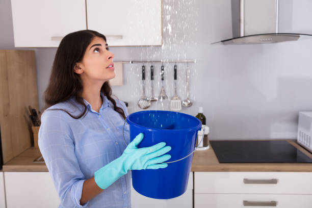 Woman Holding Bucket While Water Droplets Leak From Ceiling Worried Woman Holding Bucket While Water Droplets Leak From Ceiling In Kitchen leaking stock pictures, royalty-free photos & images