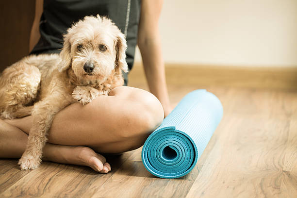 woman holding dog in yoga class stock photo