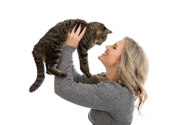 Woman Holding Pet Cat stock photo