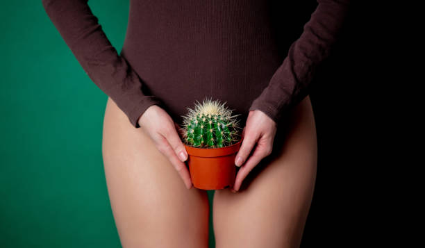 woman holds cactus in her hands at foot level stock photo