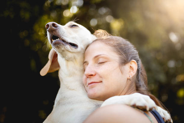 Woman hugging her dog stock photo