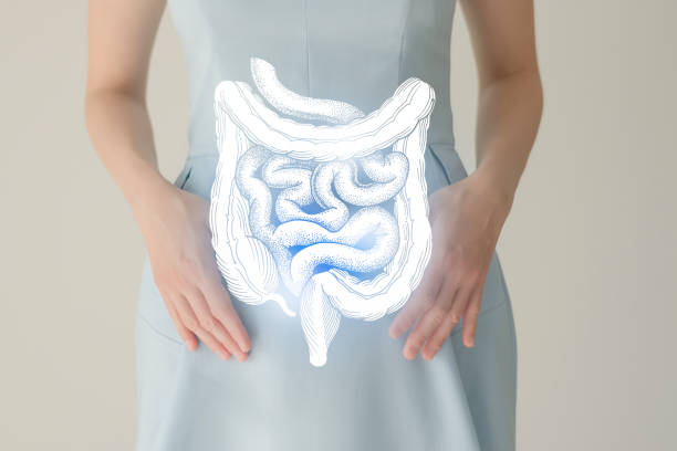 Woman in blue clothes holding virtual intestine in hand. Handrawn human organ, detox and healthcare, healthcare hospital service concept stock photo stock photo