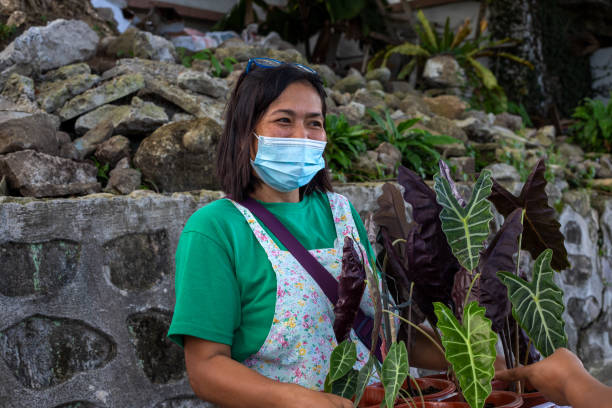 Woman in face mask selling flowers . Friendly Filippina in protective mask on market. stock photo