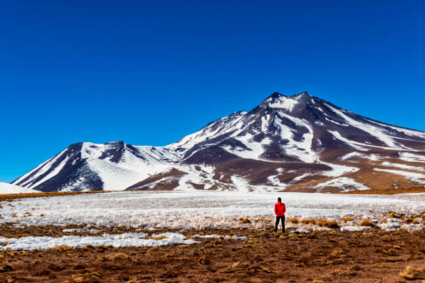 kadının önünde karlı dağ - atacama çölü - antofagasta bölgesi - martinelli stok fotoğraflar ve resimler