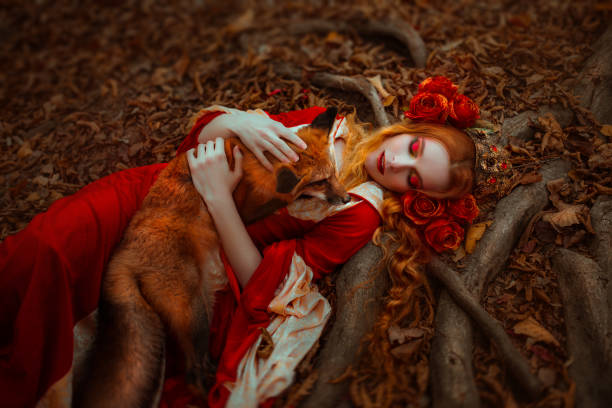 Woman in medieval clothes with a fox A young woman in medieval red dress with a fox victorian gown stock pictures, royalty-free photos & images
