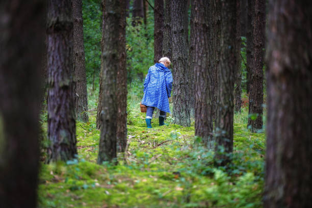 woman in raincoat looking for mushrooms beetween tree trunks in the woods in Poland stock photo