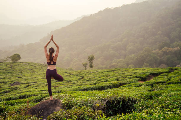 woman in violet cloth doing yoga on tea plantations in Munnar hill Kerala India stock photo